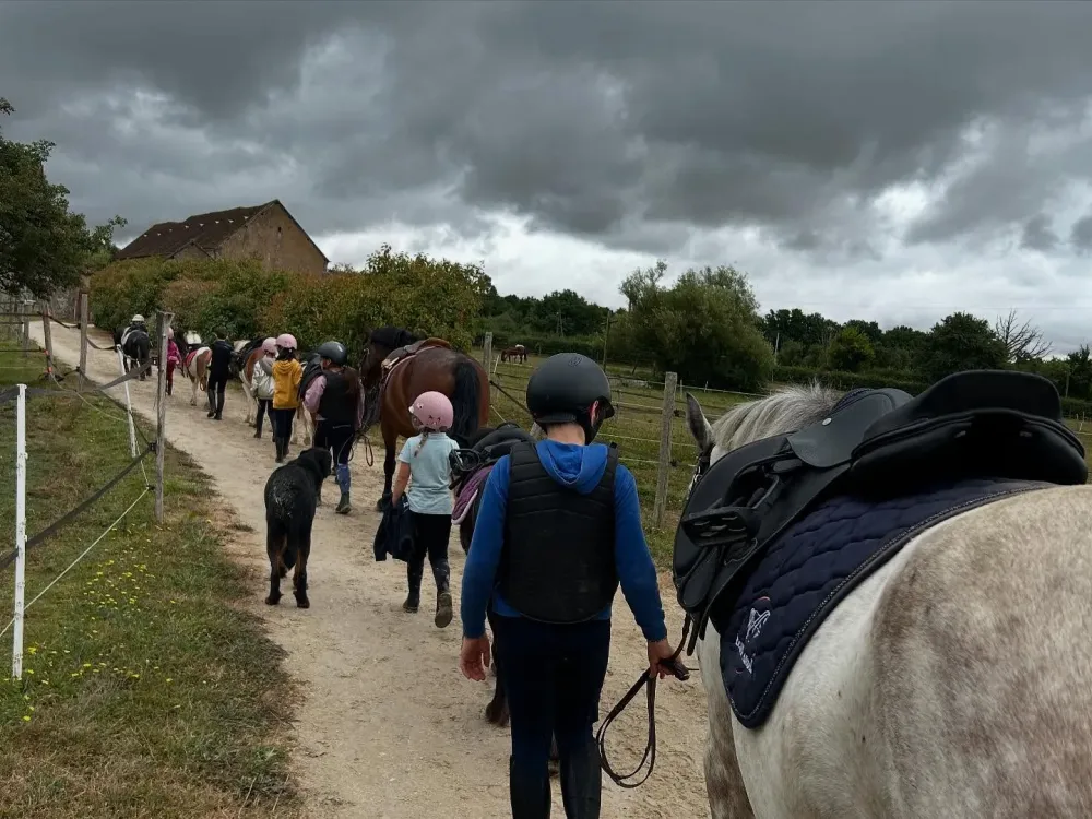 cours-poneys