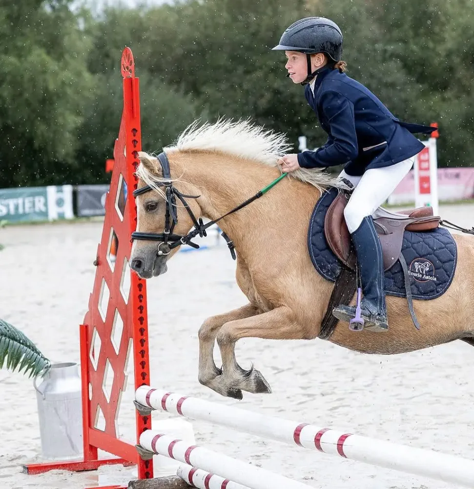 cso-poney