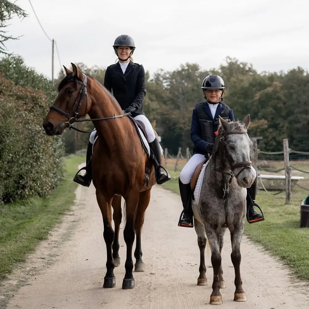 dressage