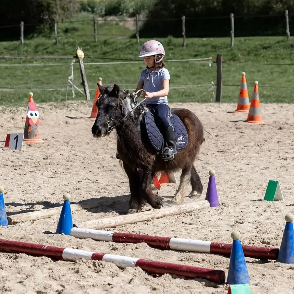 equifun
