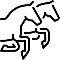 les-chevaux